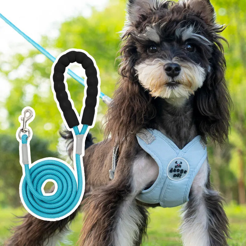 Polyester dog vest and matching lead set in blue, shown on a dog model.