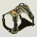 Orange reflective dog walking leash with integrated chest and back harness made from Oxford cloth.