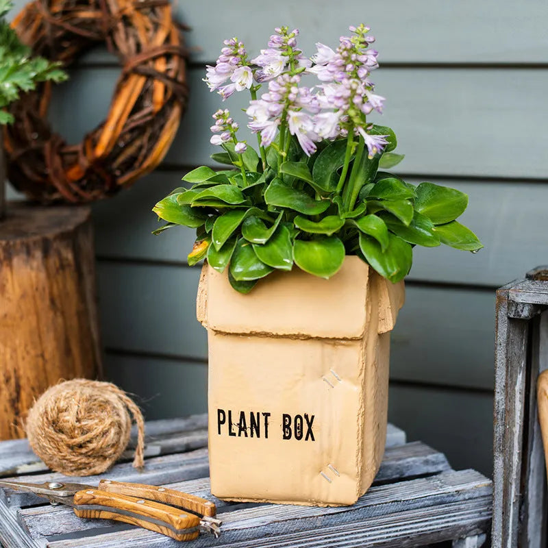 Cement brown paper box design flowerpot with pre-punched bottom drainage hole