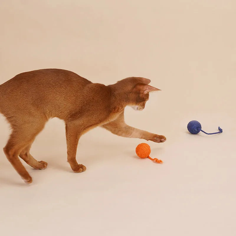 Cat toy set with teaser stick and catnip balls in blue, green, red, or yellow