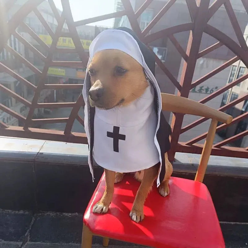 Black and white nun costume cloak outfit on a small or medium dog for Halloween.