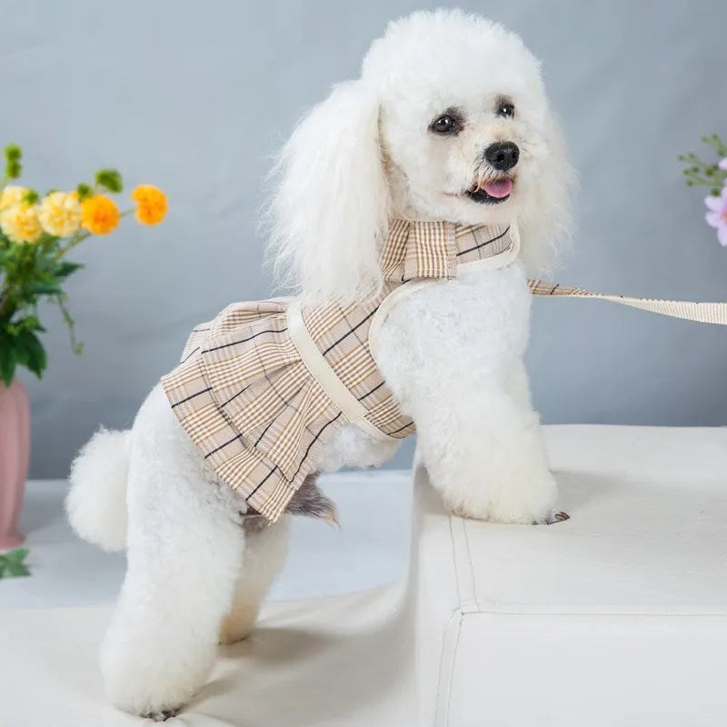 Chest strap pet vest with hand holding rope in milky white or purple skirt style