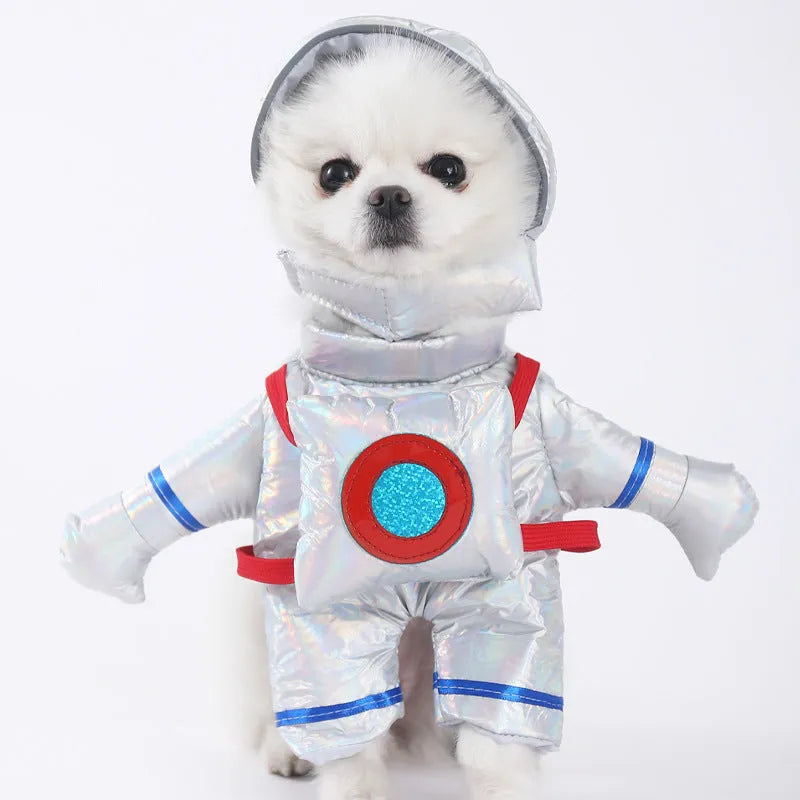 Halloween dog costume selection showing bat suit, devil outfit and pumpkin pack designs