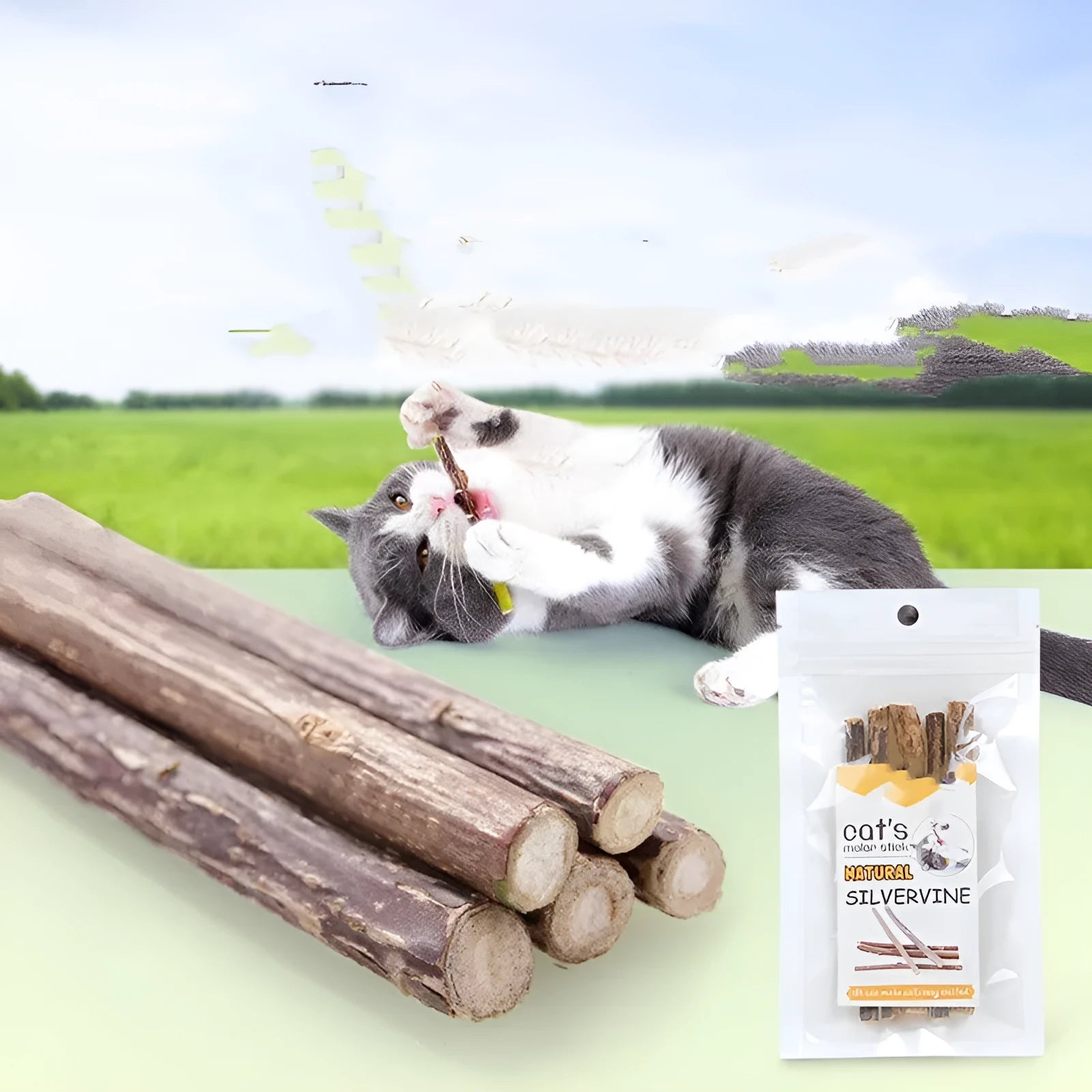 Five 15g pet cat molar rod dental chews in molar rod flavour for adult cats teeth cleaning
