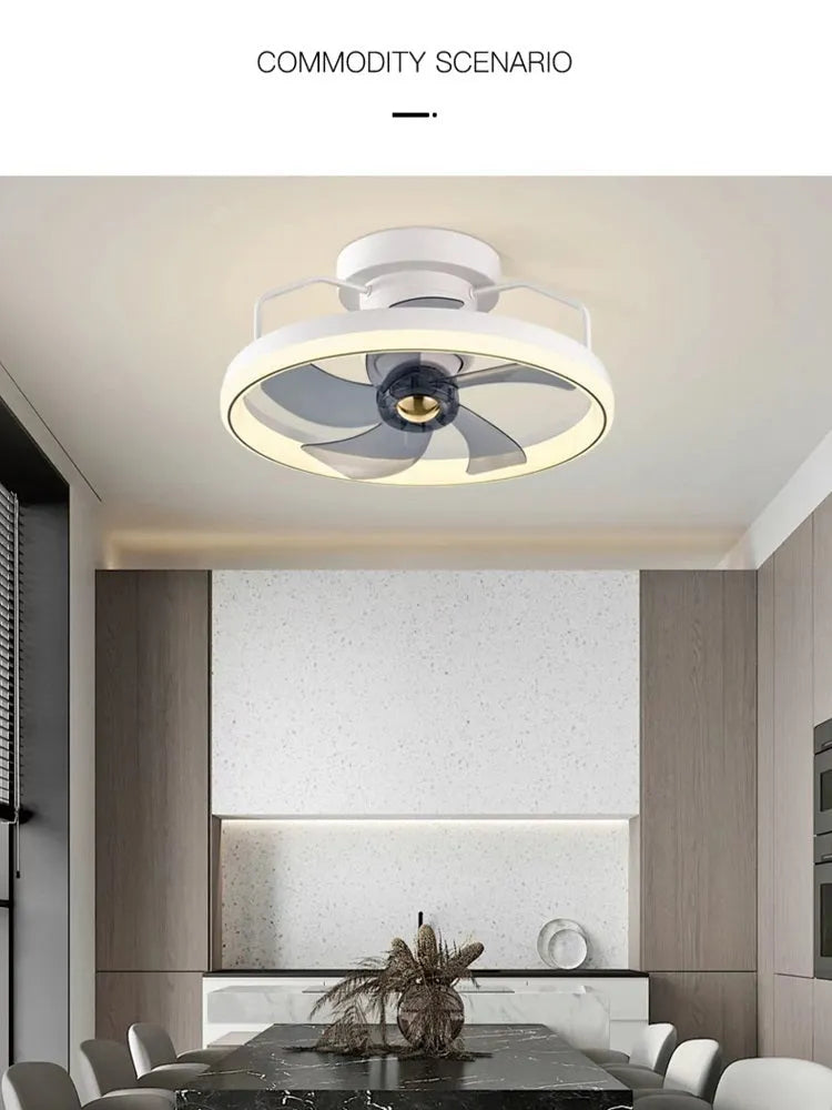 Modern simple design ceiling fan with light showing PC blades and acrylic lampshade in a chosen colour
