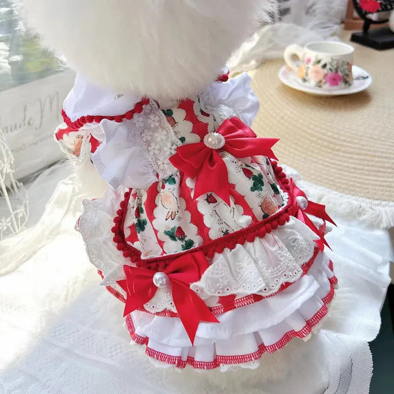 Small dog wearing a rabbit skirt coloured princess-style dress.
