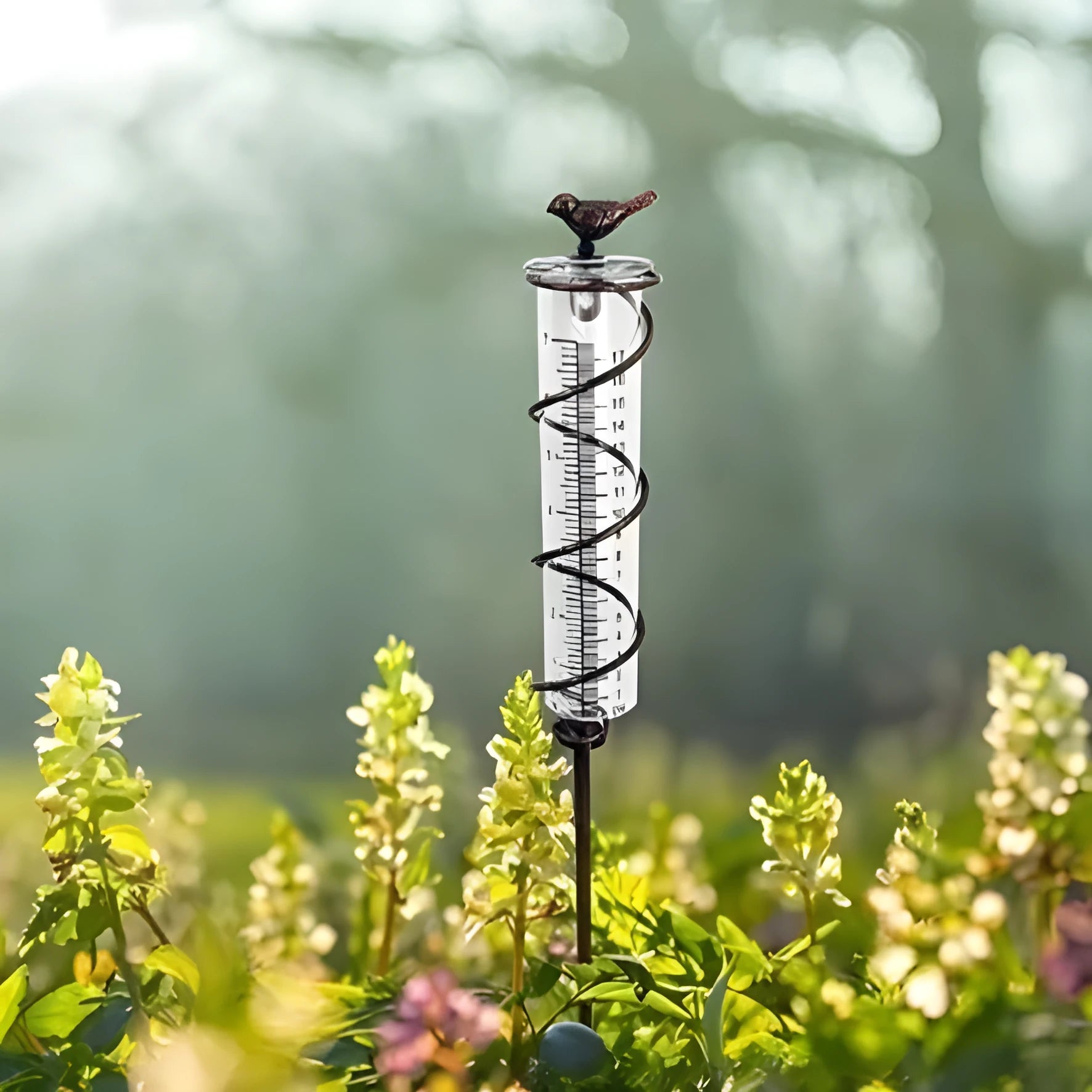 Cast iron bird rain gauge with glass measurement tube showing 0-800ml capacity and 1-20 scale