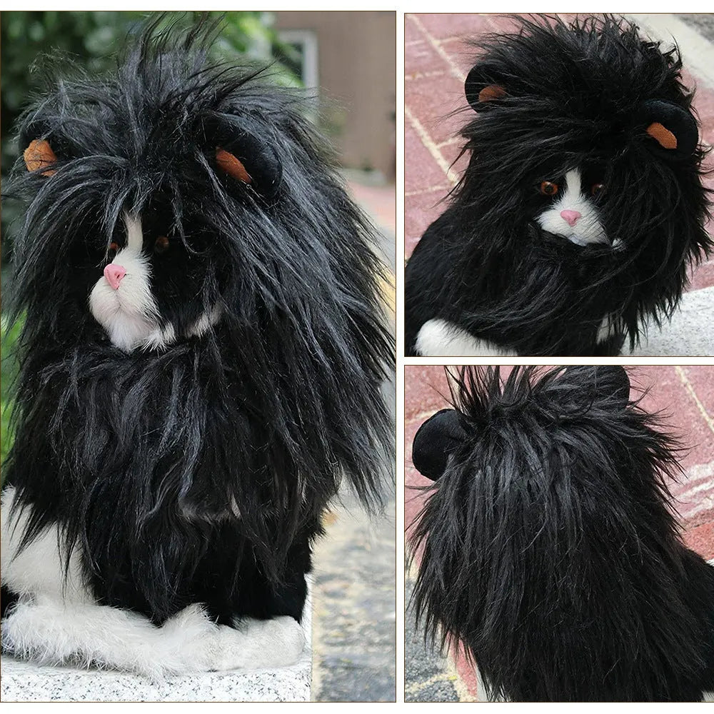 Black lion mane wig hat accessory on a cat's head with adjustable elastic strap