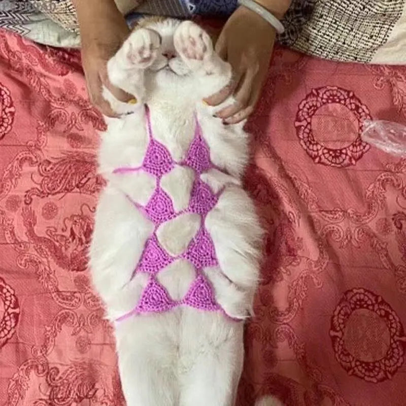 Cat wearing bikini costume in multiple colour options for Halloween and party events