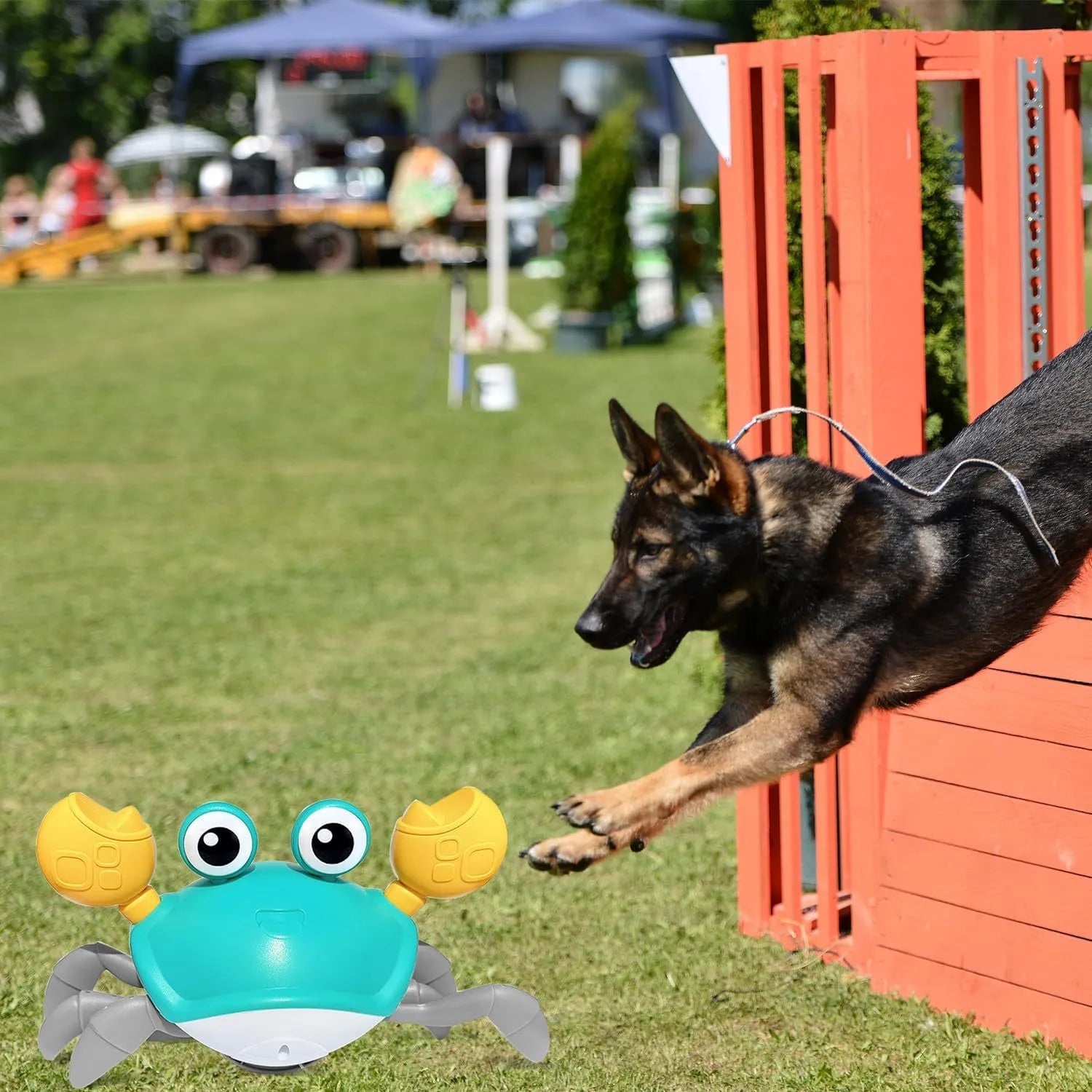Blue or red electronic crab dog toy with obstacle avoidance sensors, moving sideways on a floor.