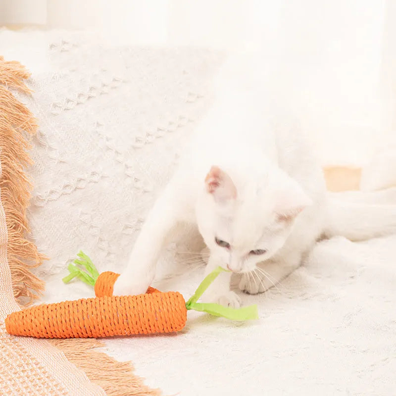 Assortment of interactive cat toys including carrot-shaped paper toys, ringing stones, and cat sticks in two sizes