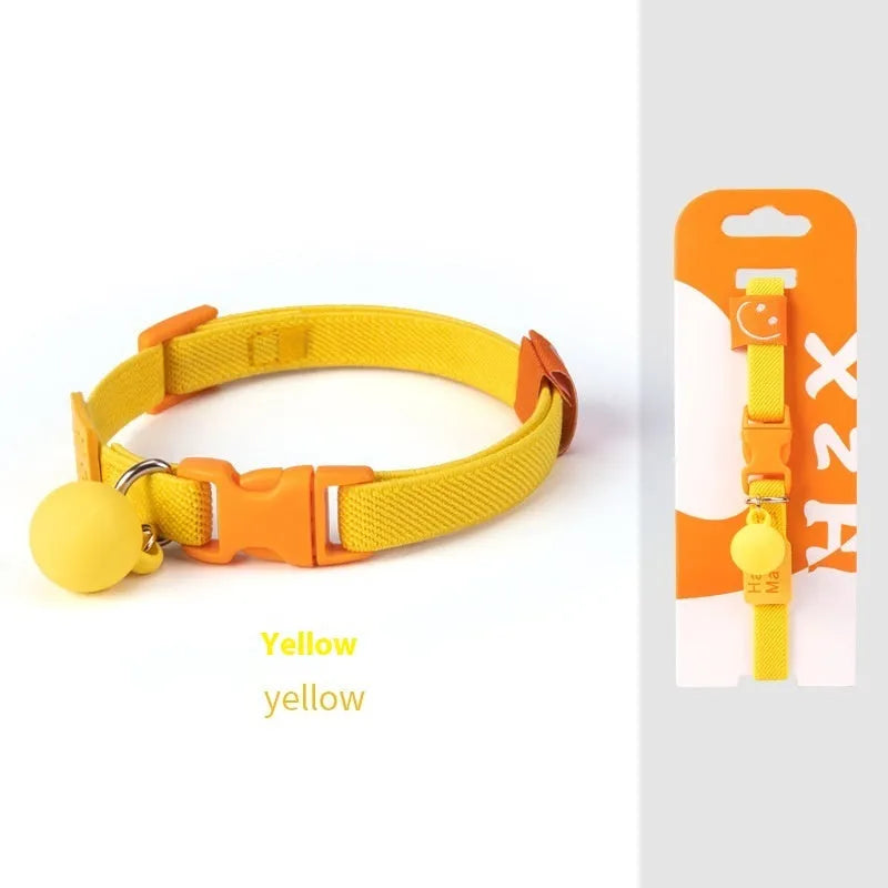 Small dog wearing a high elasticity polyester pet collar in a choice of seven solid colours.