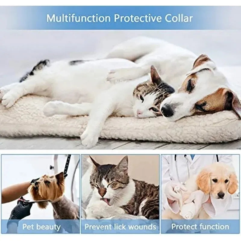 Blue inflatable soft recovery collar for a dog, shown as an alternative to a plastic cone.