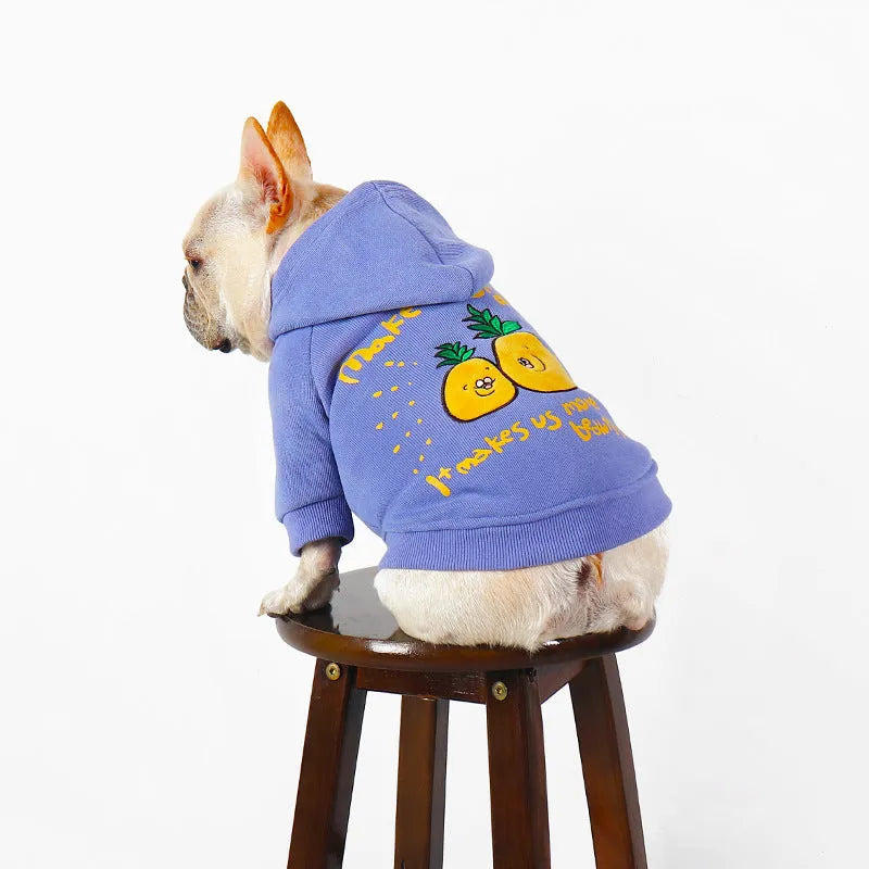 Blue and purple cartoon print cotton plush hoodie for dogs in various sizes
