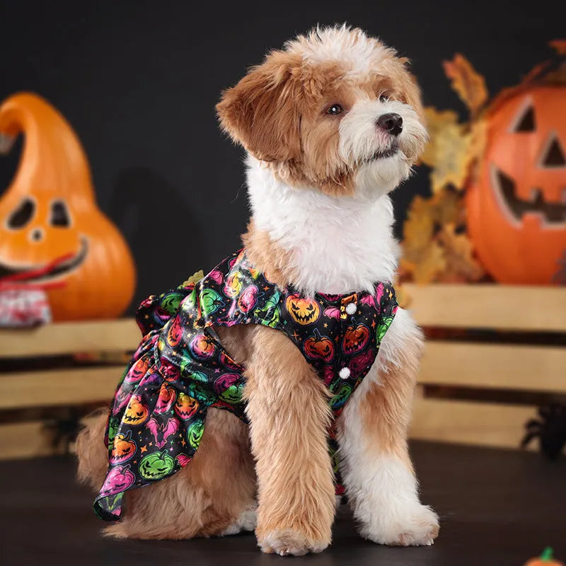 Angel wings Halloween dog costume with bright pumpkin design shown on small dog