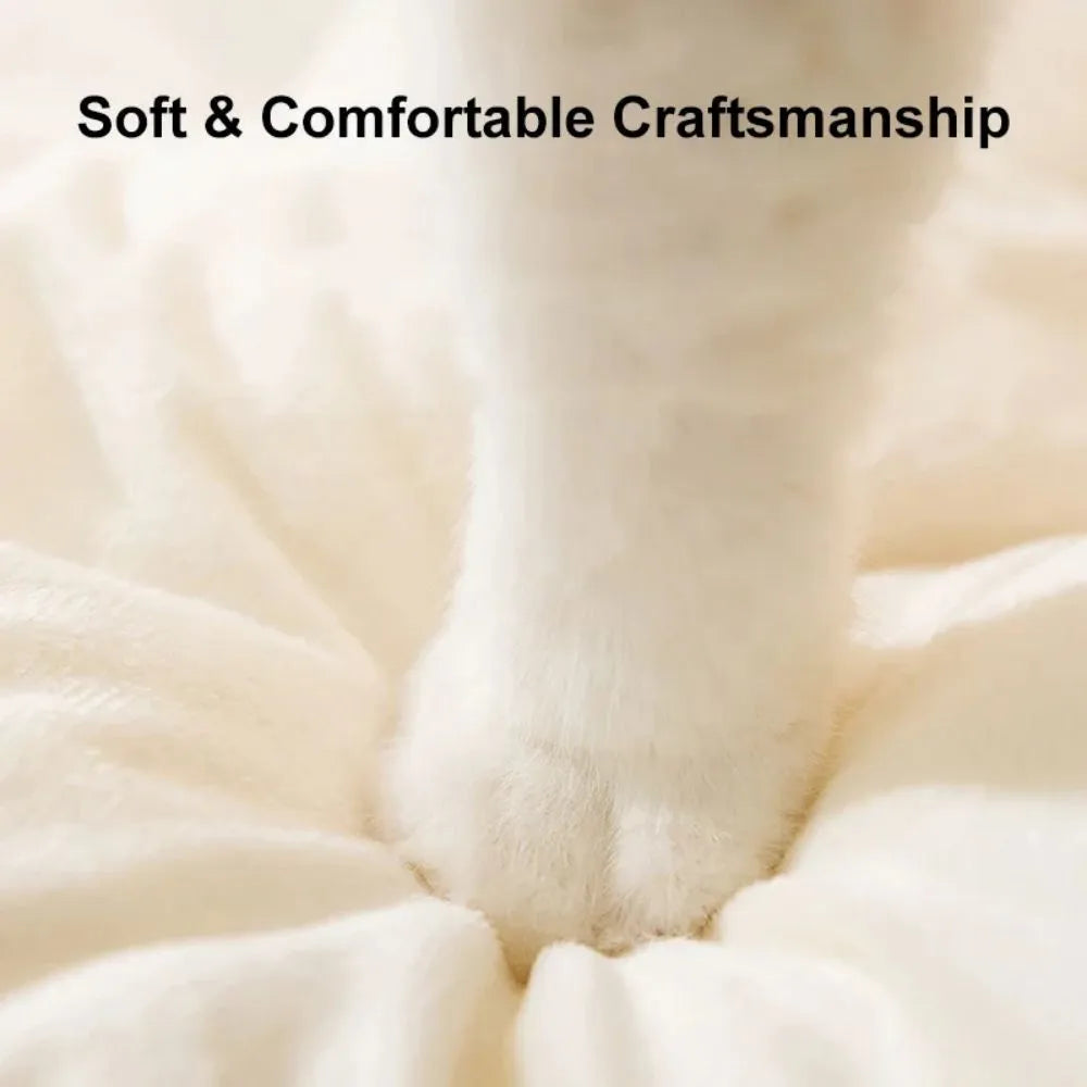Green enclosed cat tent bed with removable blanket for winter sleeping