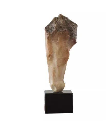 French retro abstract horse head resin sculpture ornament with carved finish, 50cm high