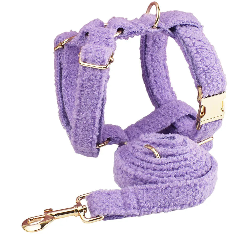 Purple four-piece dog accessory set showing cloth collar, leash, bow, and vest for small dogs