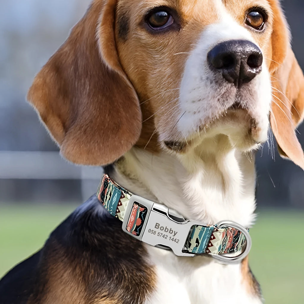 Colourful canvas dog collar with semi-metal buckle in striped floral pattern