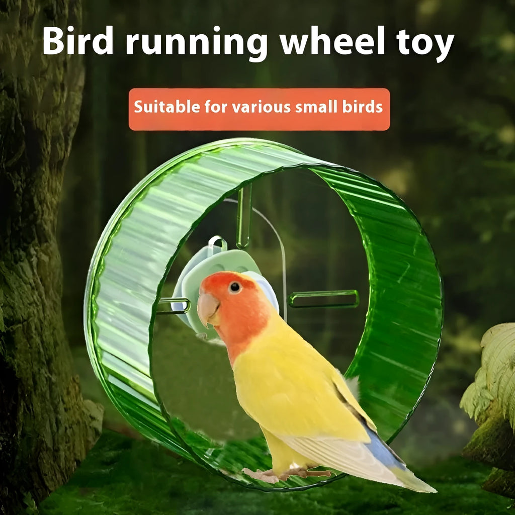 Plastic parrot running wheel toy for birds in various colours with treadmill design