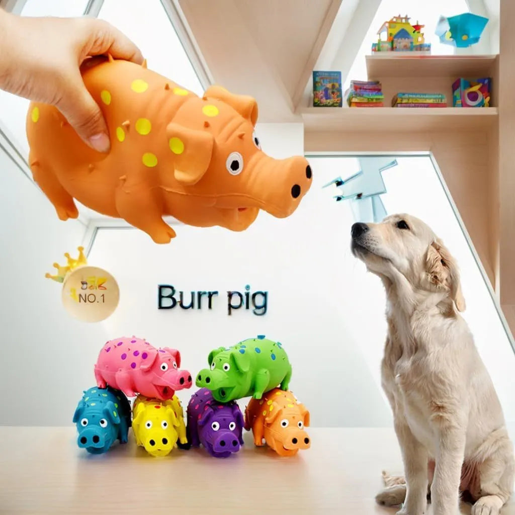 Pig-shaped latex dog chew toy with textured surface in assorted colours
