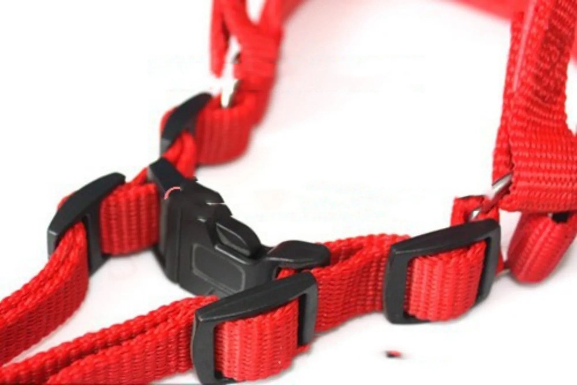 Nylon pet harness with foam lining in black, blue or red colours with chest strap