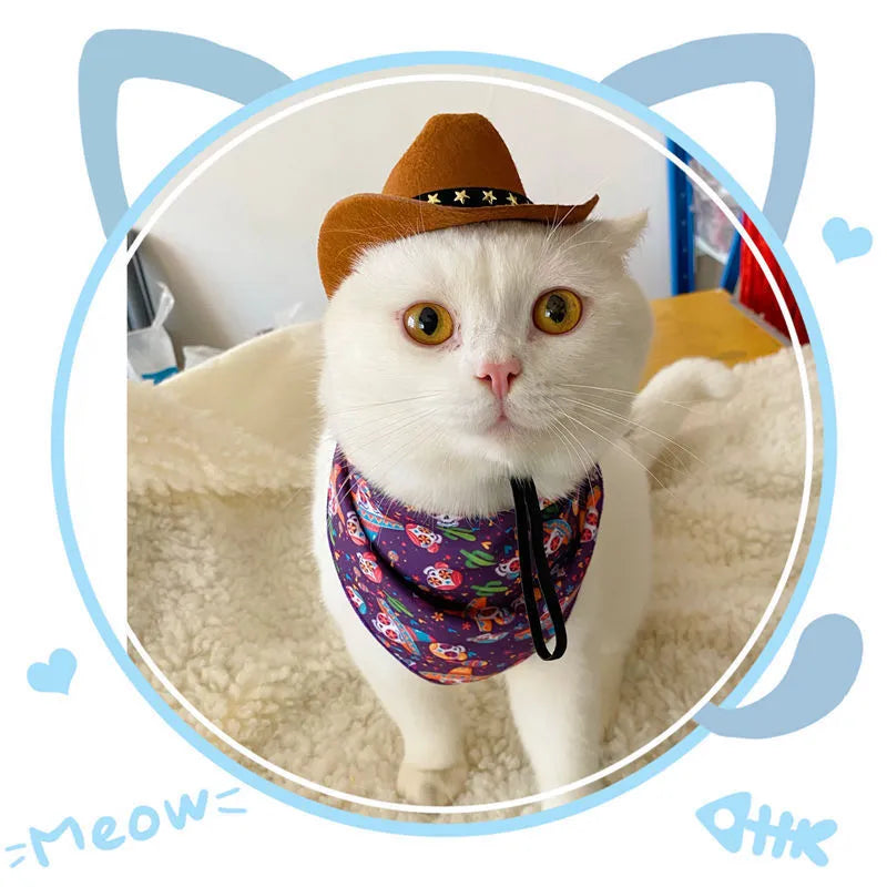 British cowboy hat for cats in non woven fabric with ribbon or velvet belt trim