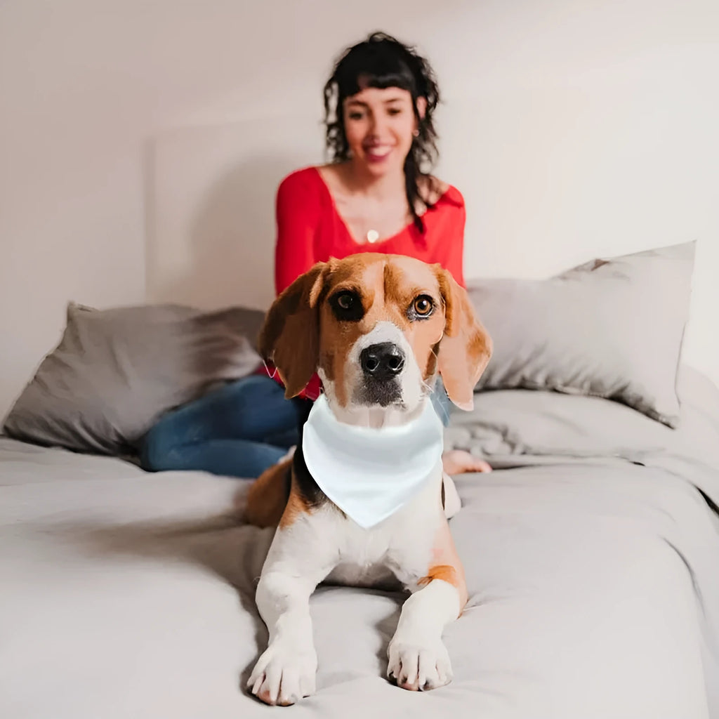 Blank white polyester dog scarf for thermal transfer personalisation in four sizes