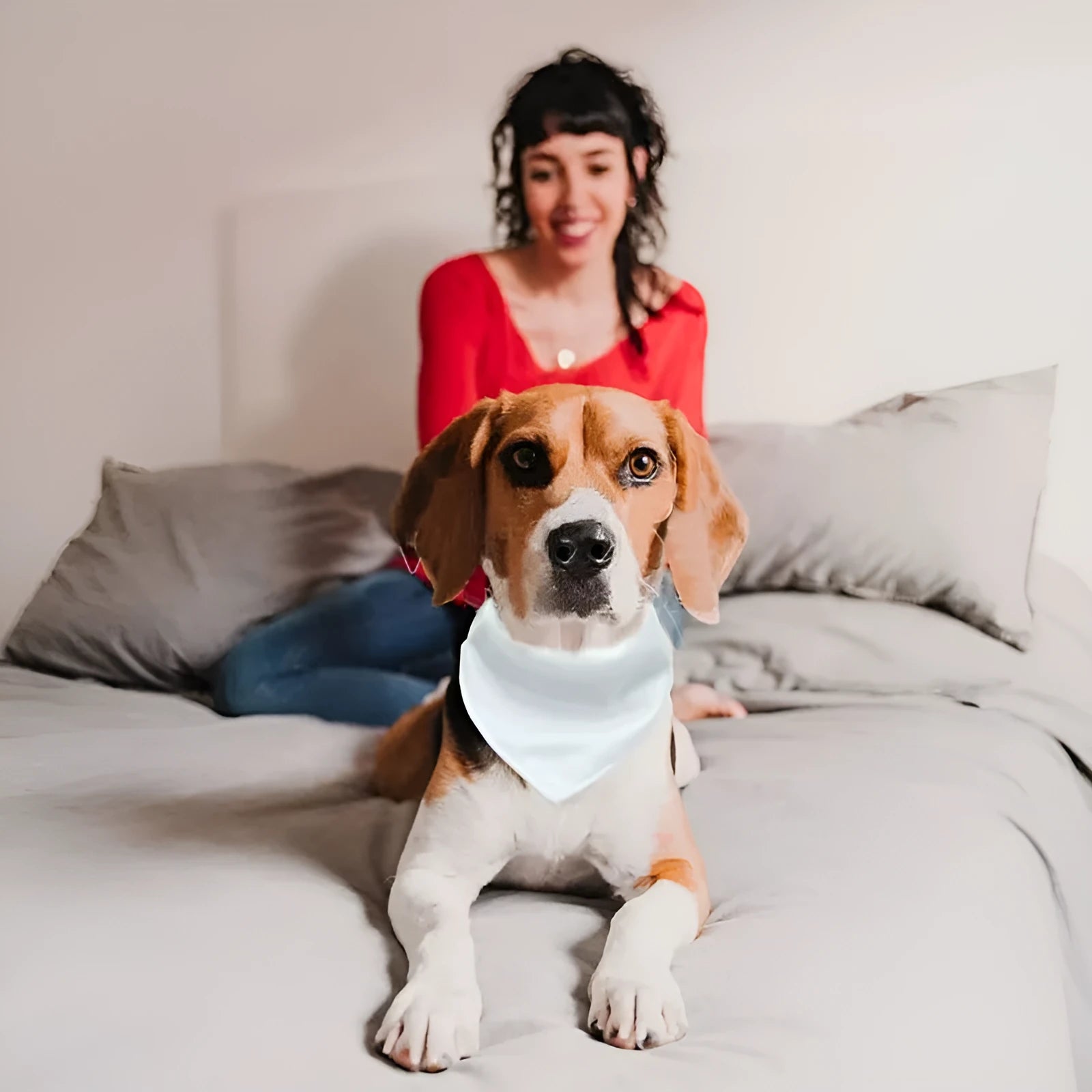 Blank white polyester dog scarf for thermal transfer personalisation in four sizes