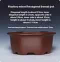 A square purple clay succulent bonsai pot in a classical style on a tabletop.