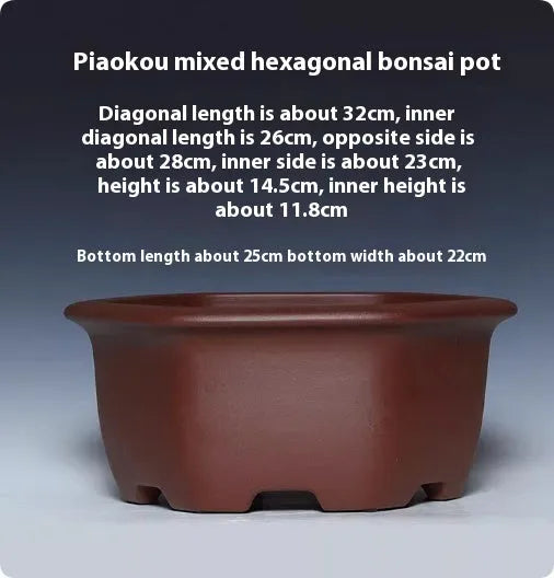 A square purple clay succulent bonsai pot in a classical style on a tabletop.