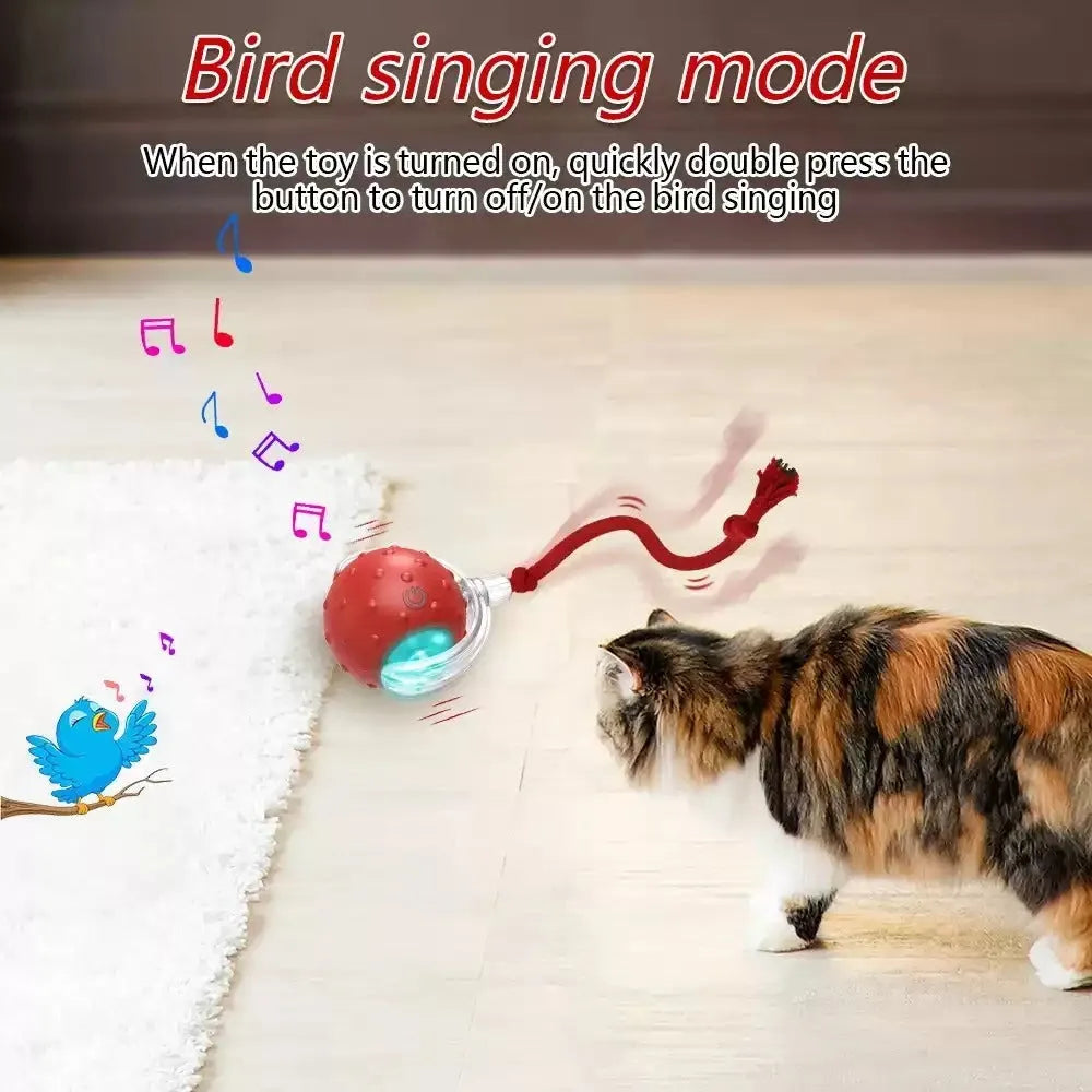 Interactive cat toy ball with feather tail and LED lights in red colour option