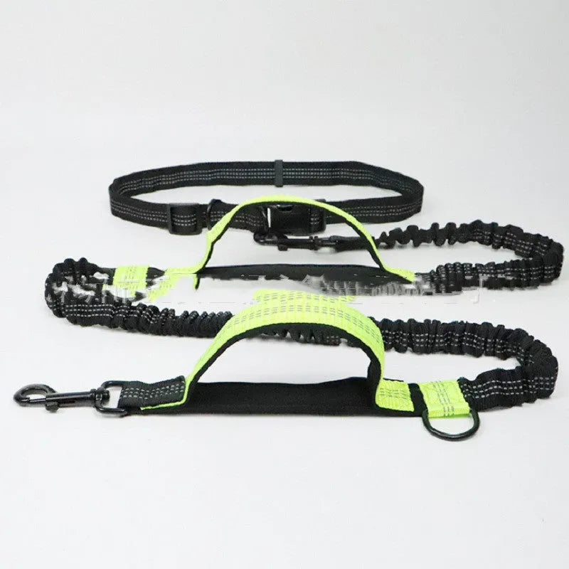 Adjustable dog running belt with retractable leash in blue orange or green colours