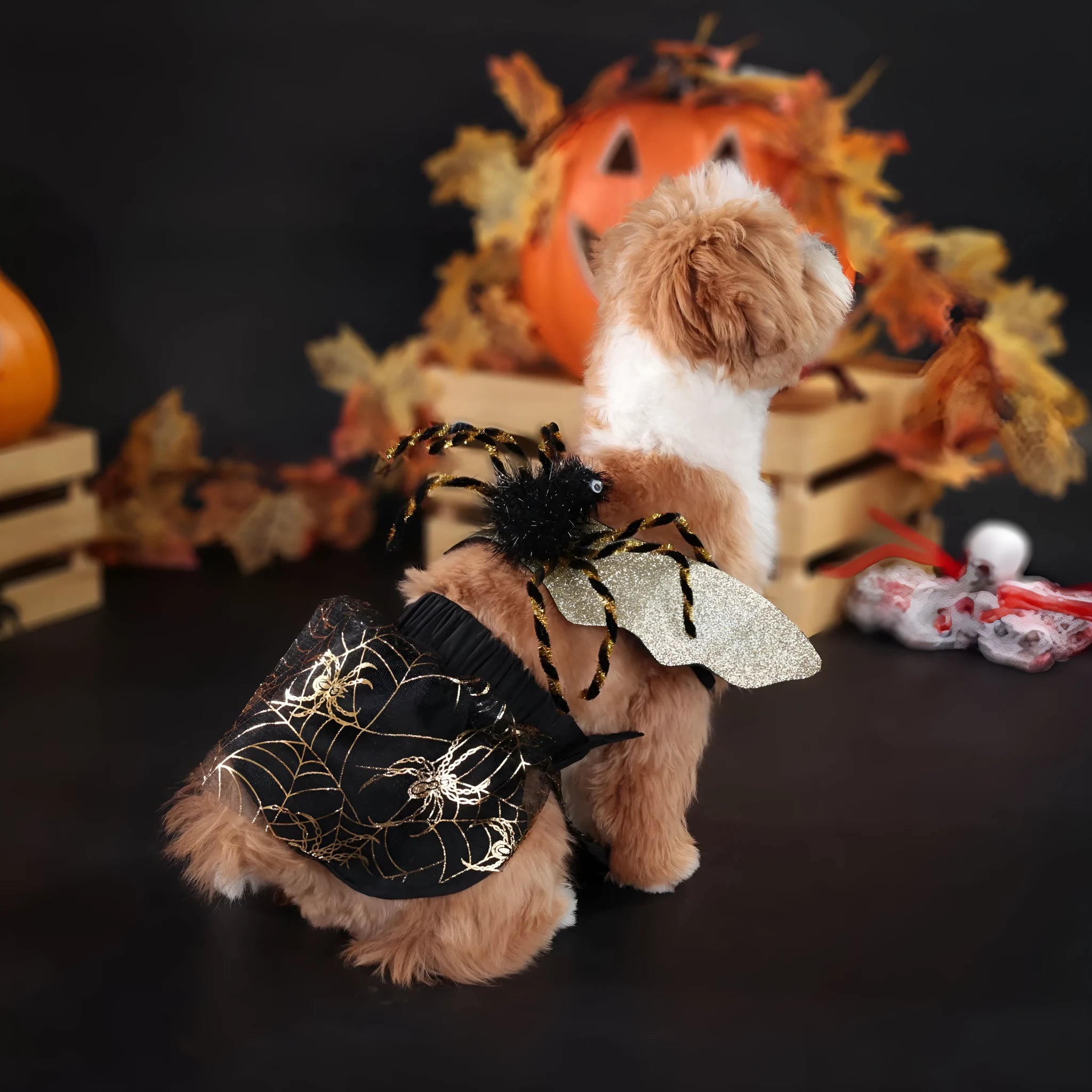 Polyester dog Halloween costume suit in suit colour available in small medium large XL sizes