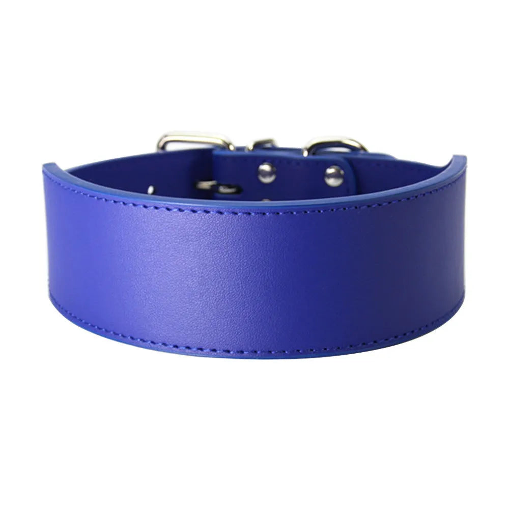 Large dog leather collar with fish-shaped buckle in assorted colours on a white background.