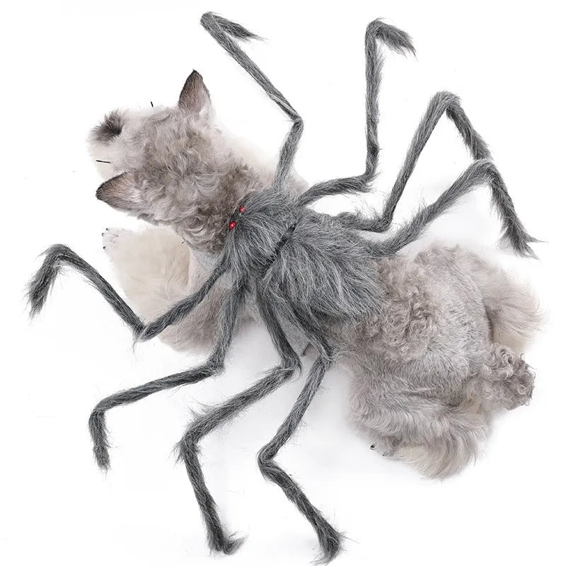 Halloween big spider costume for a dog or cat in grey, brown, black and purple colours.