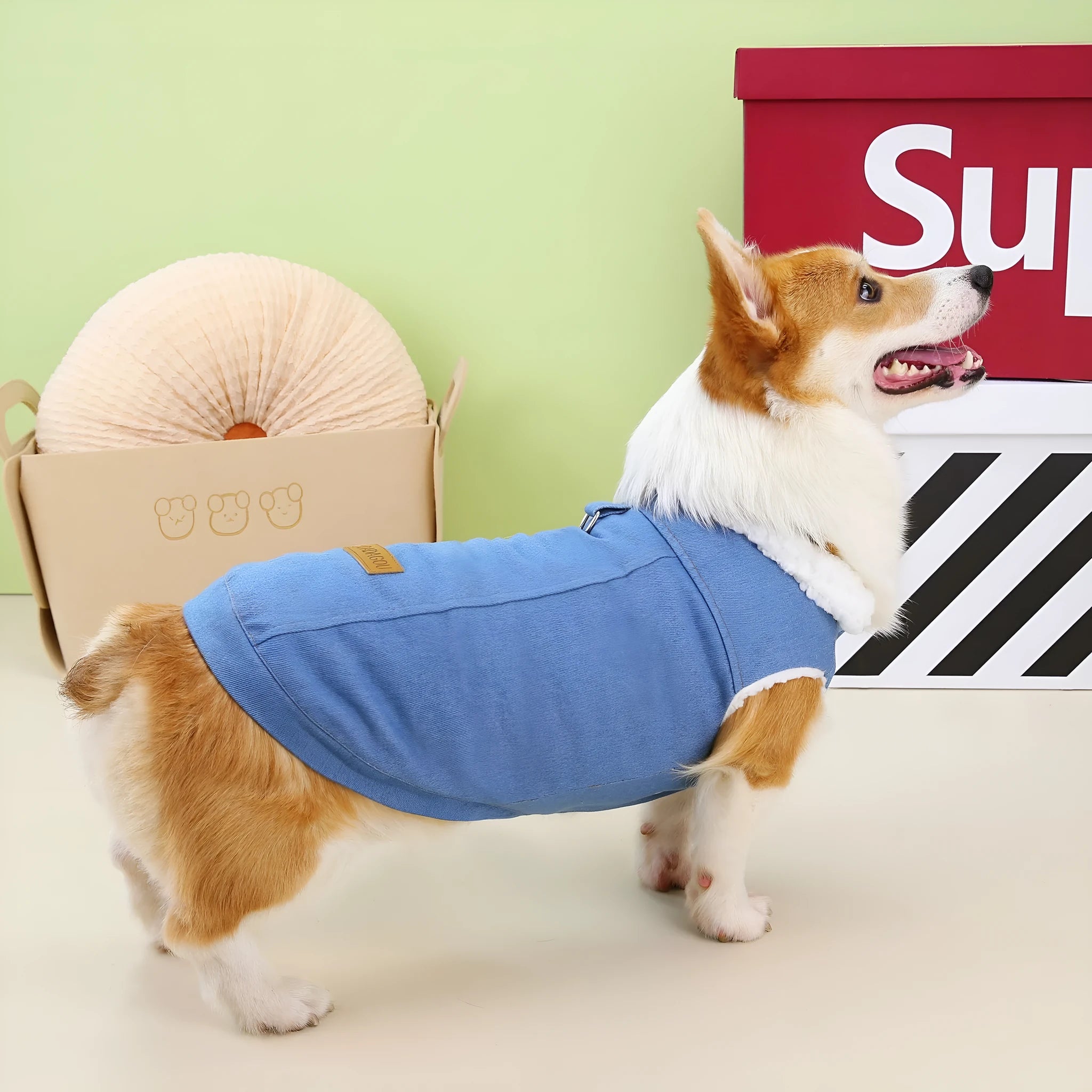 A dark blue denim cotton coat for a Welsh Corgi dog, shown in size L.