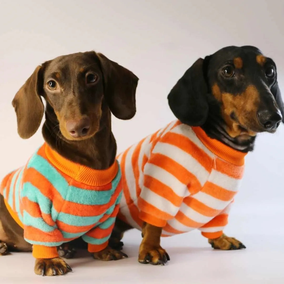 Striped casual sweatshirt for a dog or cat with a round neck, shown in orange-red and white stripes.