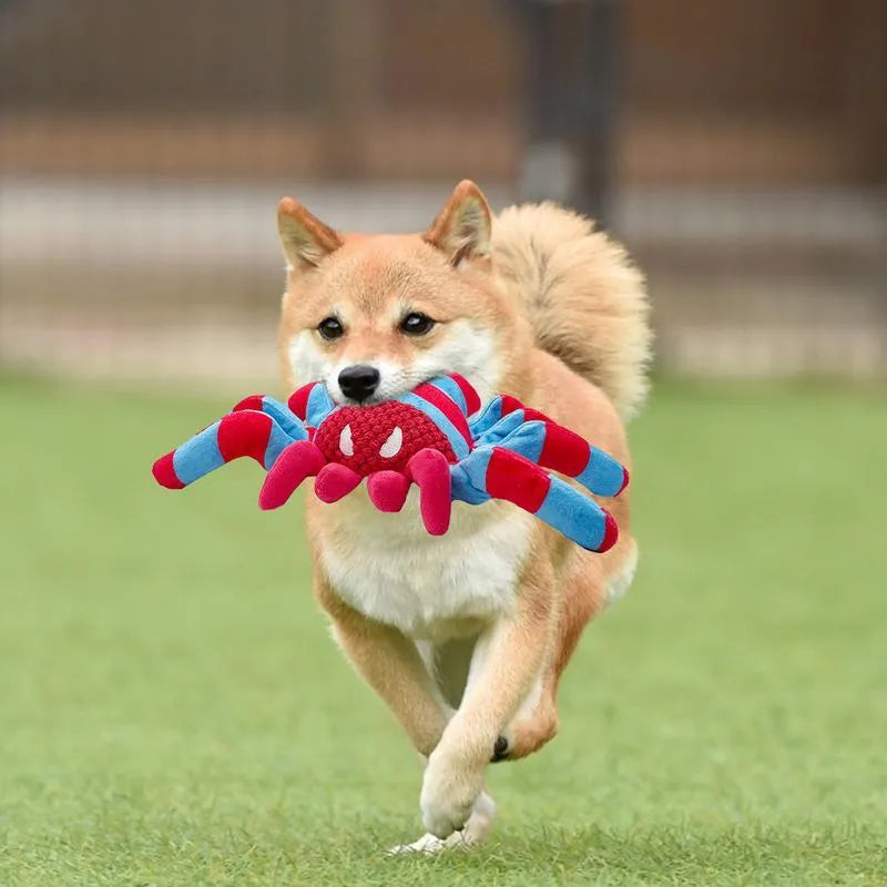 Red bite-resistant teddy dog toy for medium to large breed chewing and interactive play