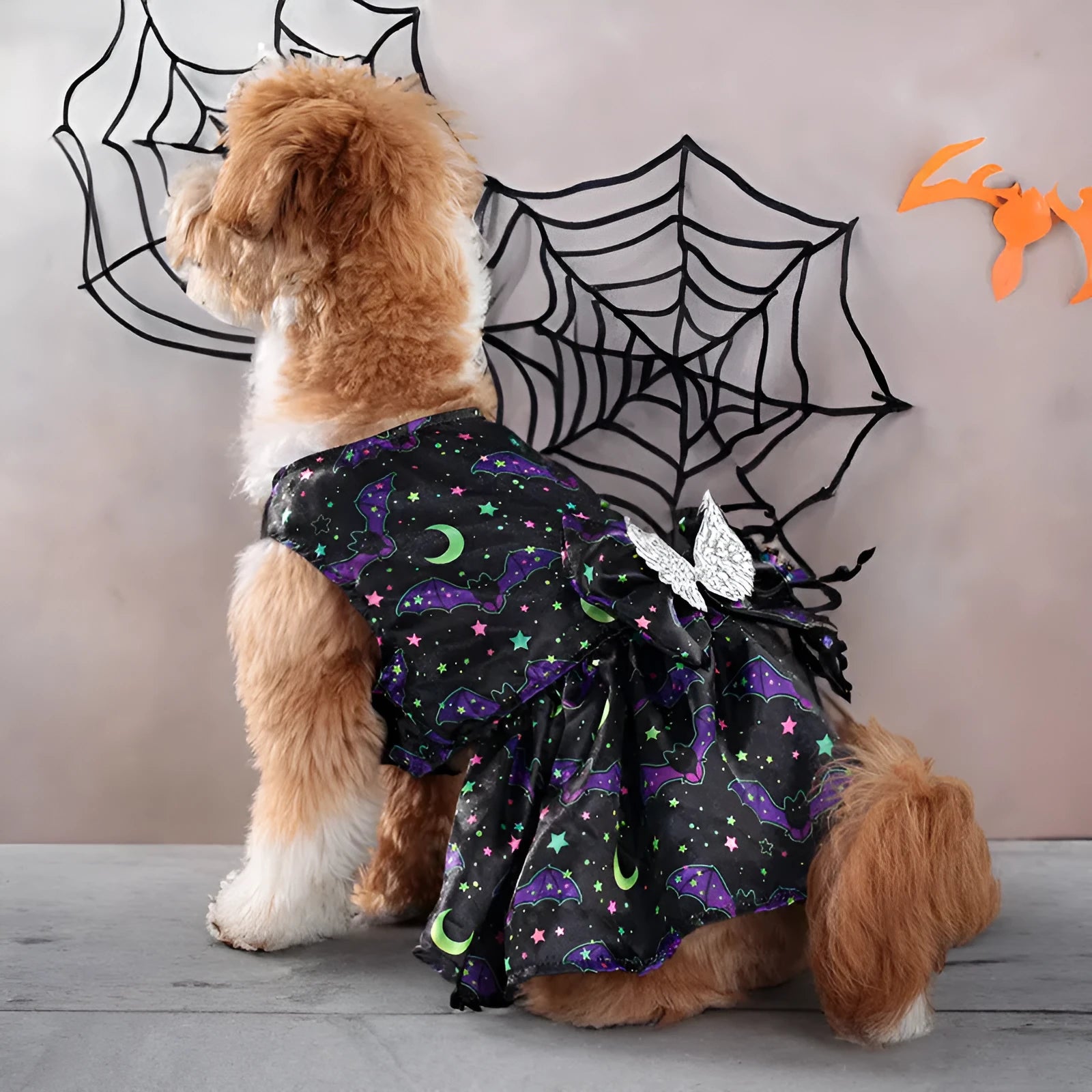 Angel wings Halloween dog costume with bright pumpkin design shown on small dog