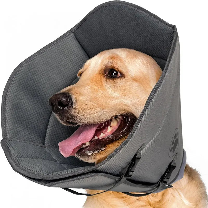 A soft, adjustable polyester pet collar ring shown in a casual style for post-surgery wound protection.