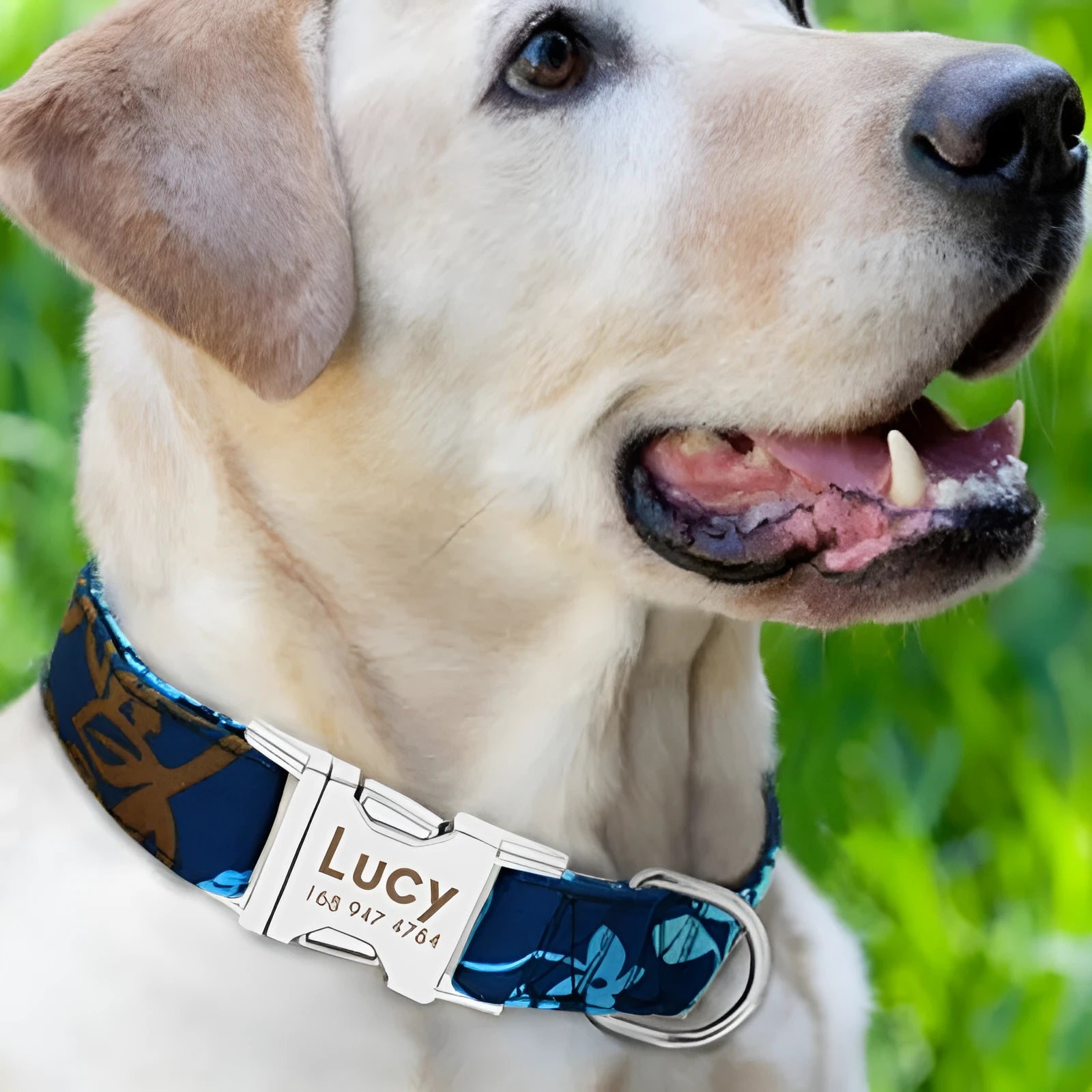 Nylon dog collar with quick-release buckle in black, green, and rose red colours showing S, M, L size options