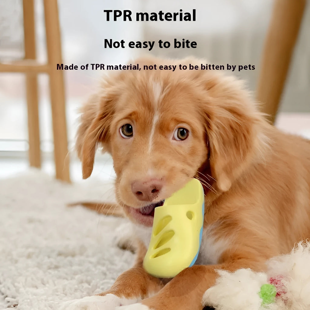 Blue and yellow TPR dog bath massage cleaning brushes showing pointed toe, quincuncial head, and horizontal pattern designs.