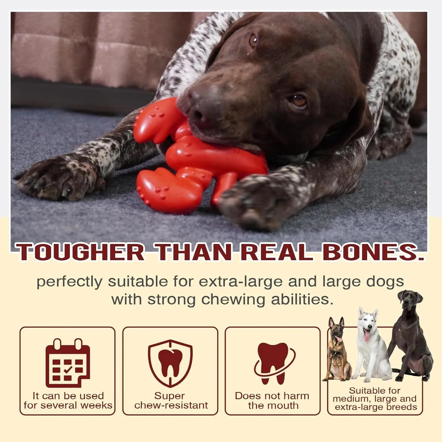 Red hard-material dog chew toy for large aggressive chewers, shown with size scale.