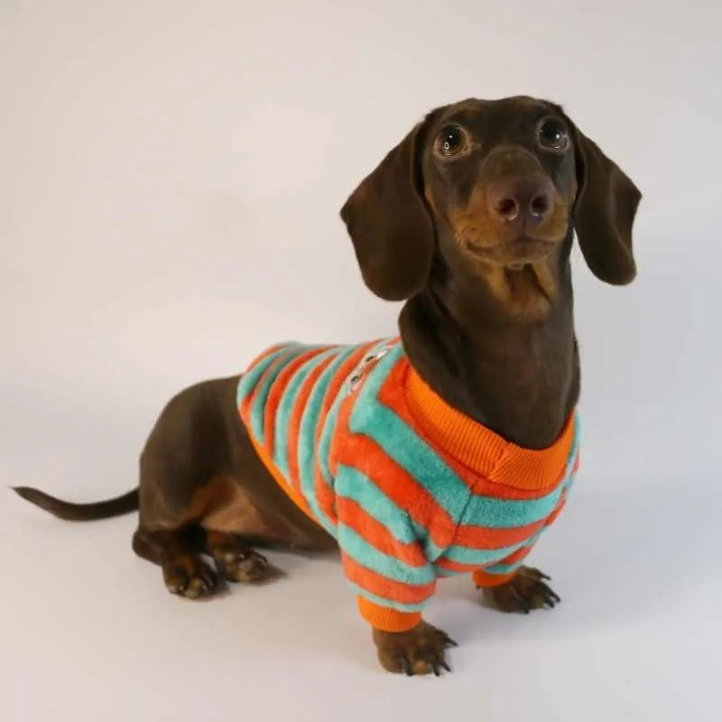 Striped casual sweatshirt for a dog or cat with a round neck, shown in orange-red and white stripes.