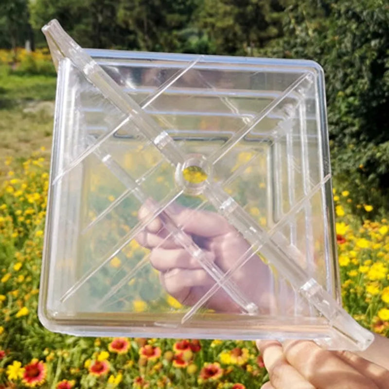 Square plastic watermelon growth mould for farms, measuring 13cm on each side.