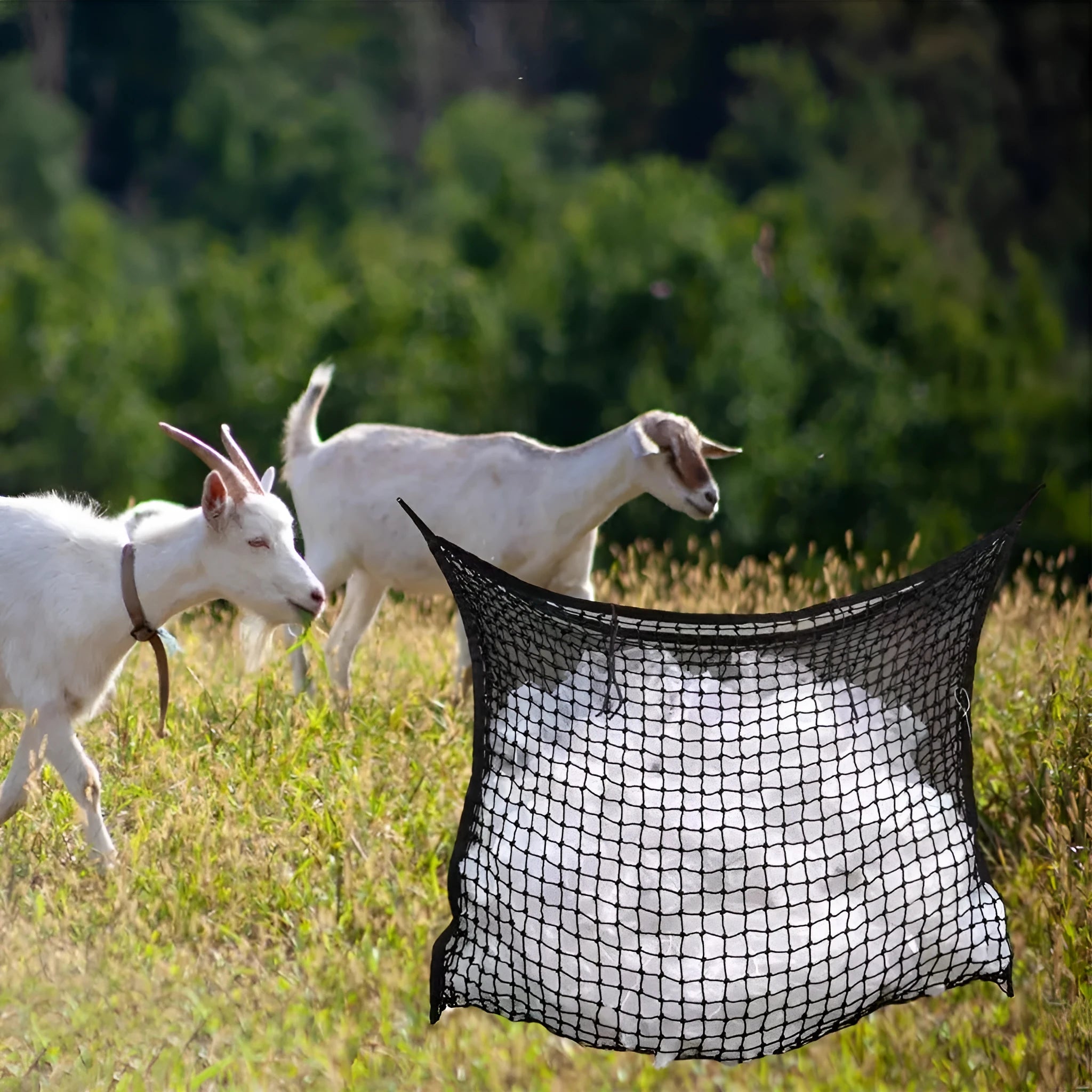 Woven grid horse feeding bag in black hanging, suitable for cattle and sheep.