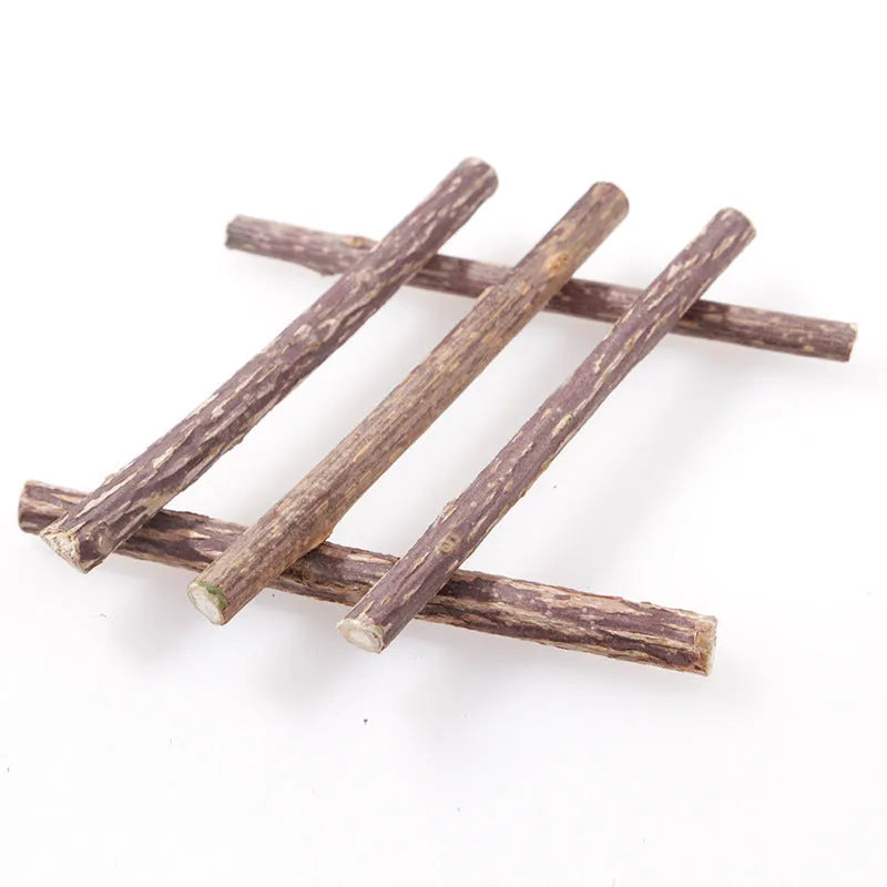 Five 15g pet cat molar rod dental chews in molar rod flavour for adult cats teeth cleaning