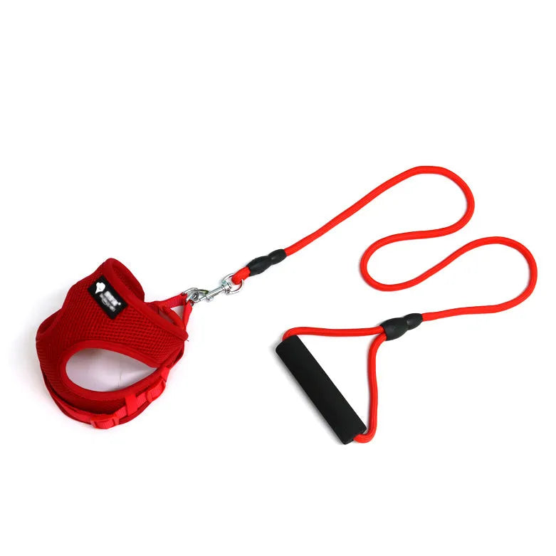 A blue dog leash with a round rope and foam handle, suitable for small dogs.