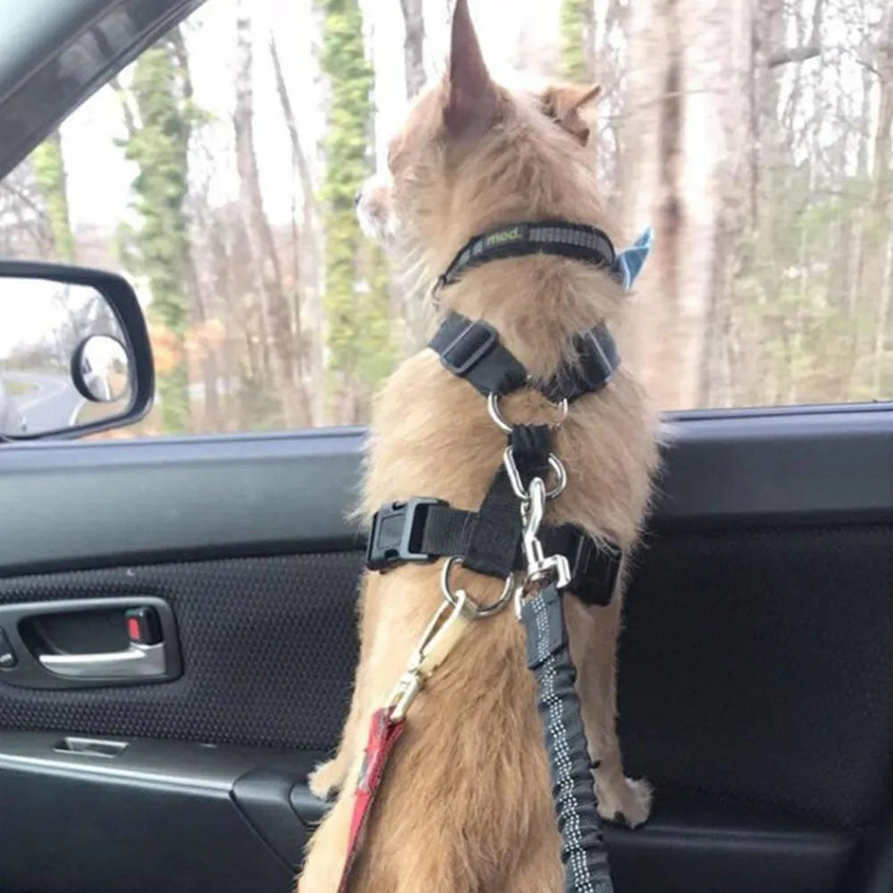 Adjustable dog seat belt harness with elastic safety rope in beige colour